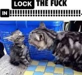 lock_in!!!!.jpg