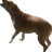 Poyo