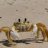 ChefCrab