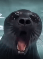 sea-lion.png