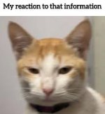 reactionn.jpeg