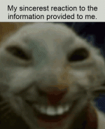 my-reaction-to-that-information.gif