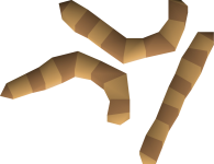 1200px-King_worm_detail.png