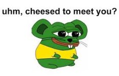 cheesed.jpg