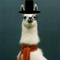 WiseAlpaca