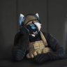 certifiedwuff